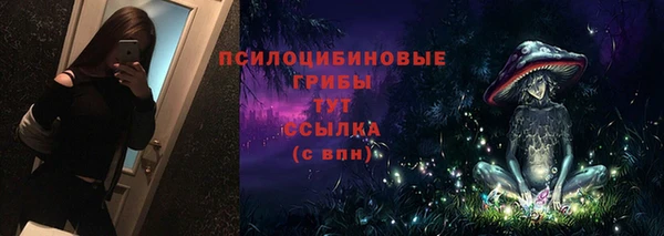 амф Каменногорск