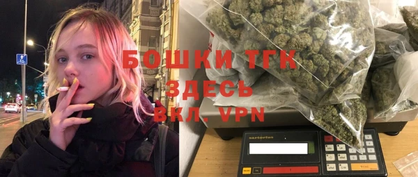 метадон Каменка